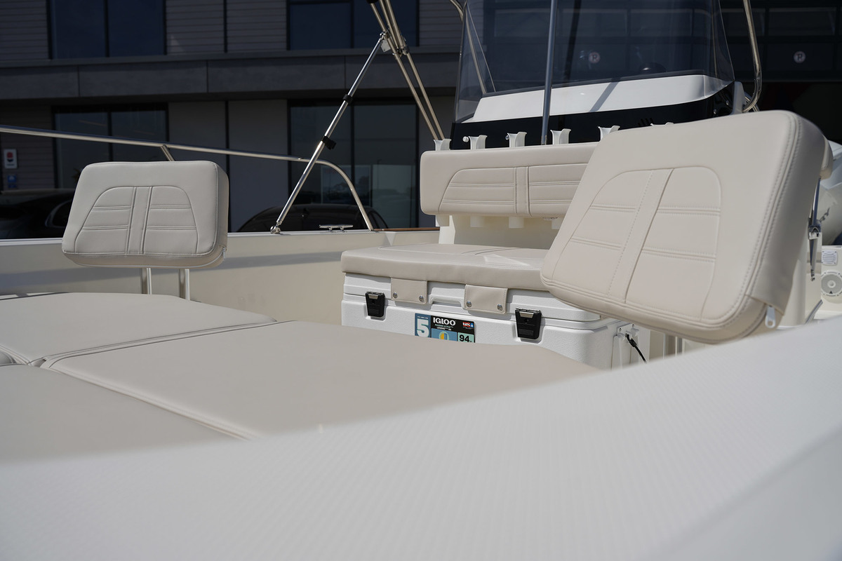 Boston Whaler 210 Montauk — foto 18 van 28