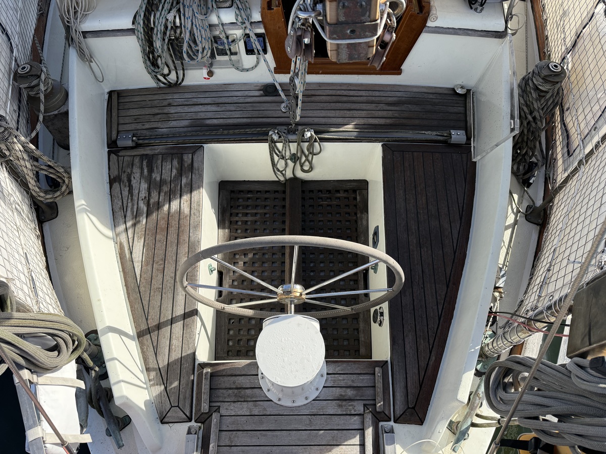 ORCA 38 — foto 47 van 74