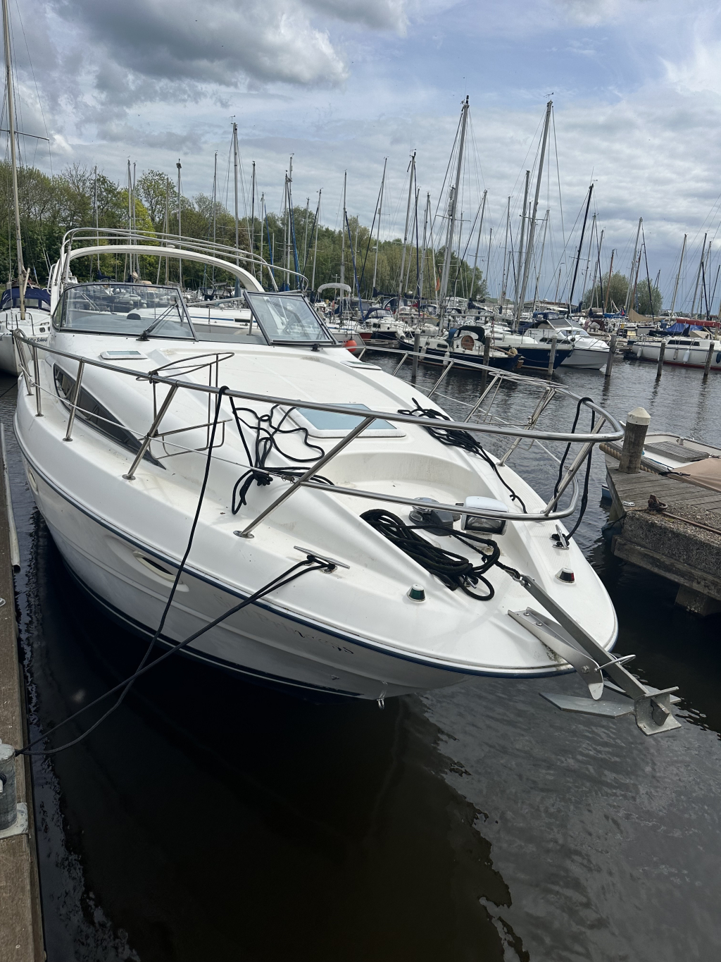 Bayliner 305 Ciera — foto 35 van 35