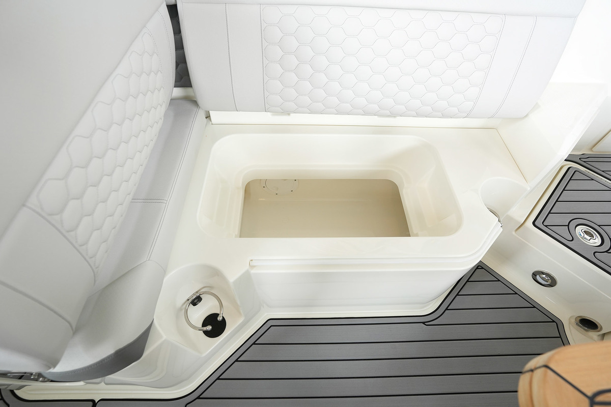 Sea Ray SDX 250 — foto 43 van 82