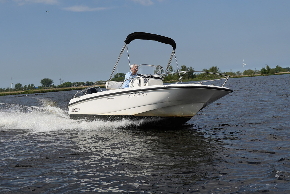 Boston Whaler 170 Dauntless — foto 3 van 36