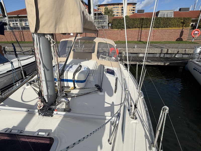 Hanse 311 — foto 31 van 49