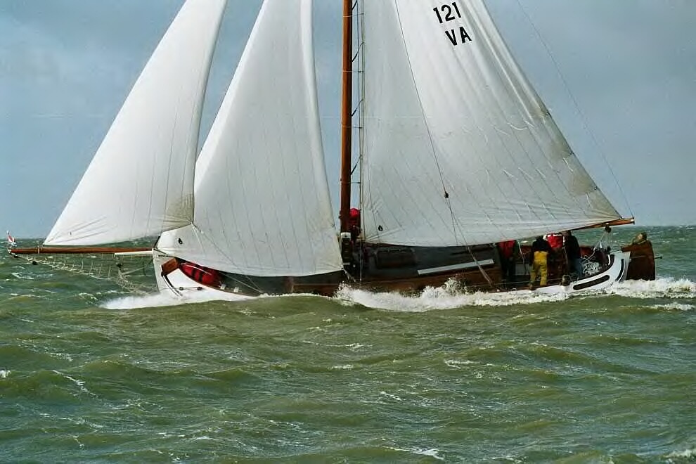 Lemsteraak Argonaut - Blom Roefaak — foto 6 van 15