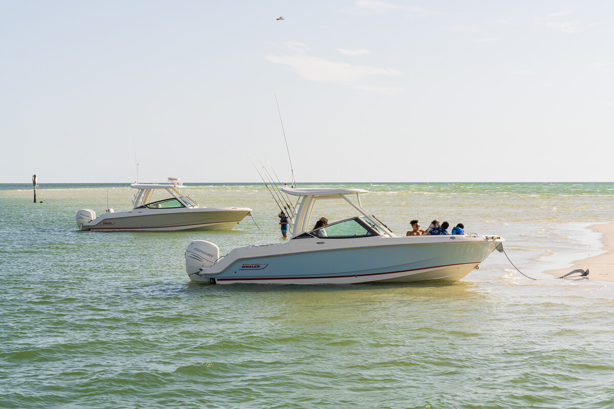 Boston Whaler 240 Vantage — foto 2 van 13