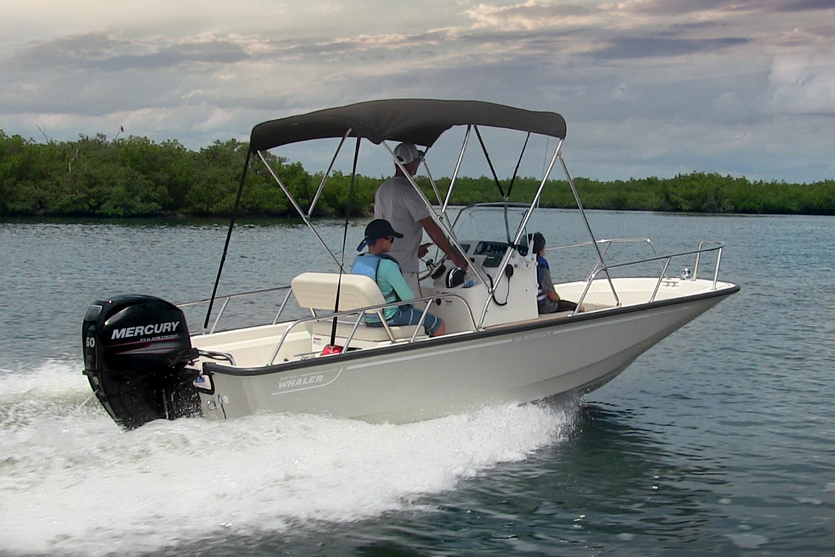 Boston Whaler 150 Montauk — foto 3 van 18