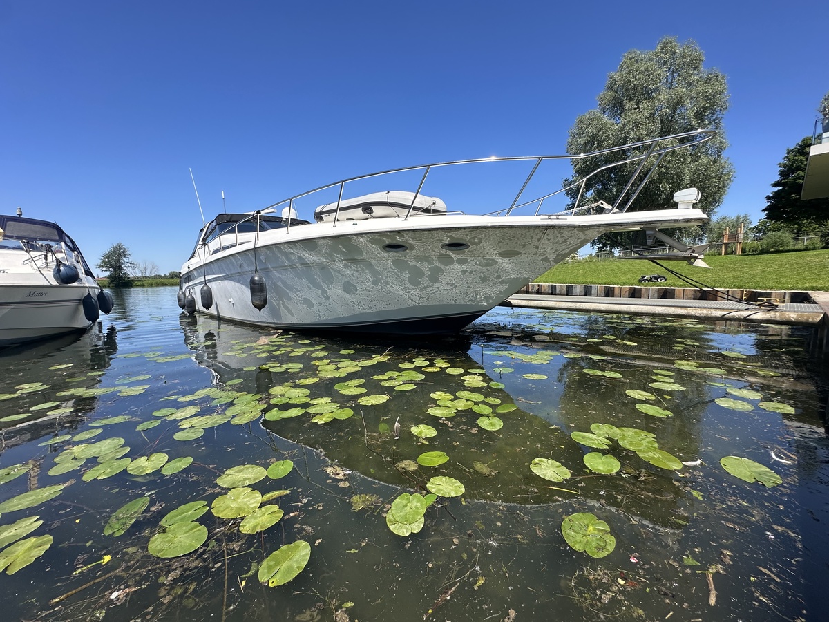 Sea Ray 500 — foto 43 van 48