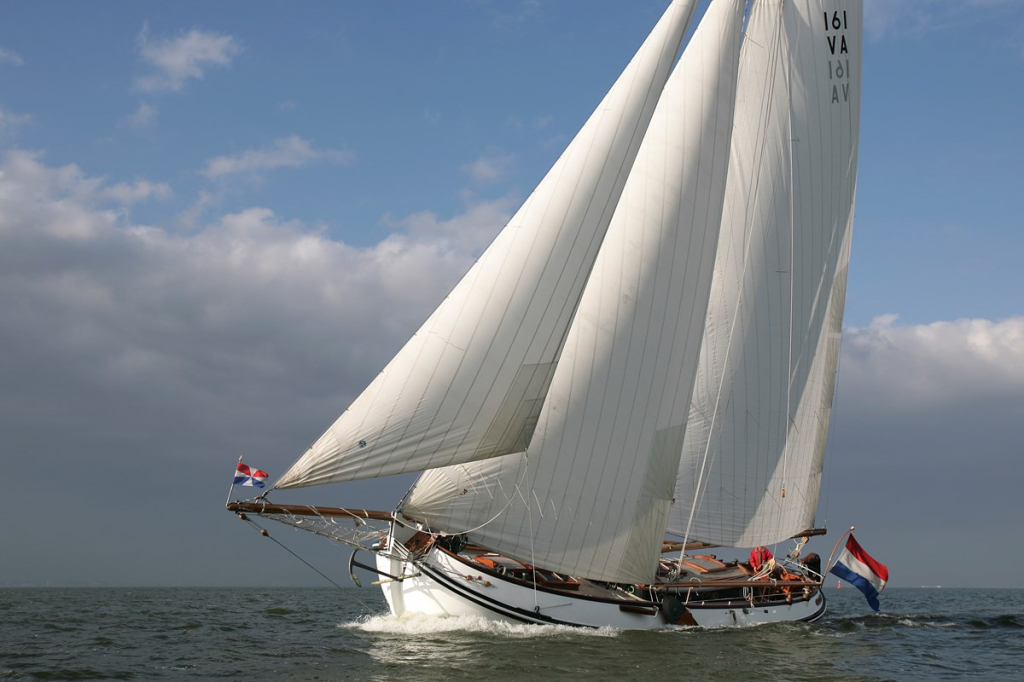 Lemsteraak Roefmodel - IJsvogel — foto 3 van 22