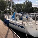 Contrast 362 — foto 4 van 11