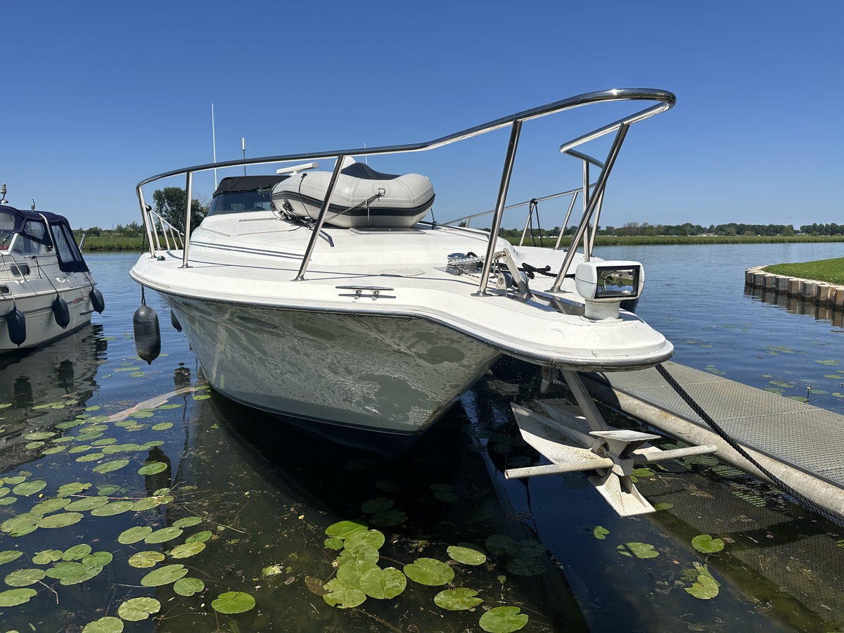 Sea Ray 500 — foto 45 van 48