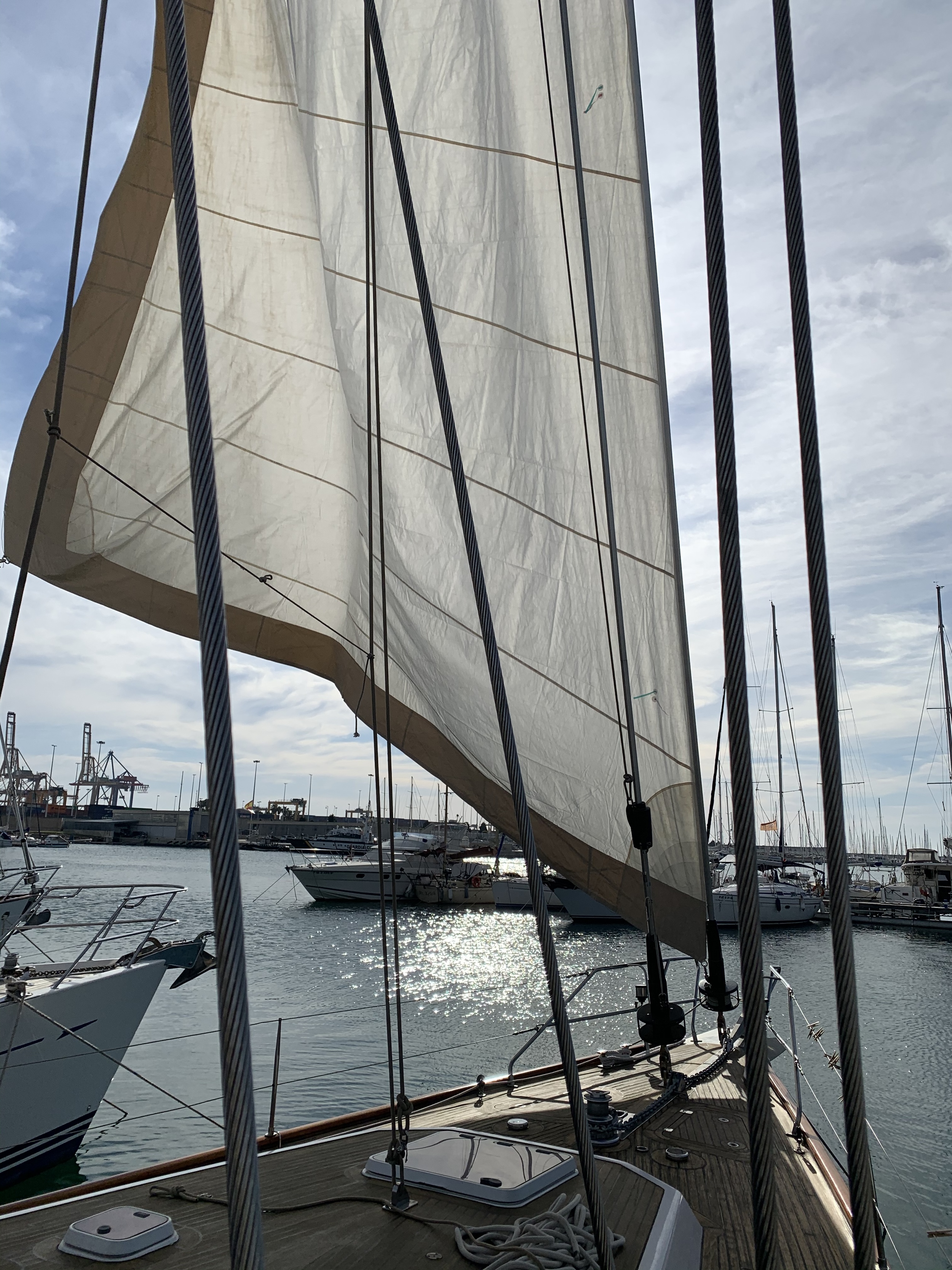 Lagoon Royal Classic 66 — foto 22 van 87