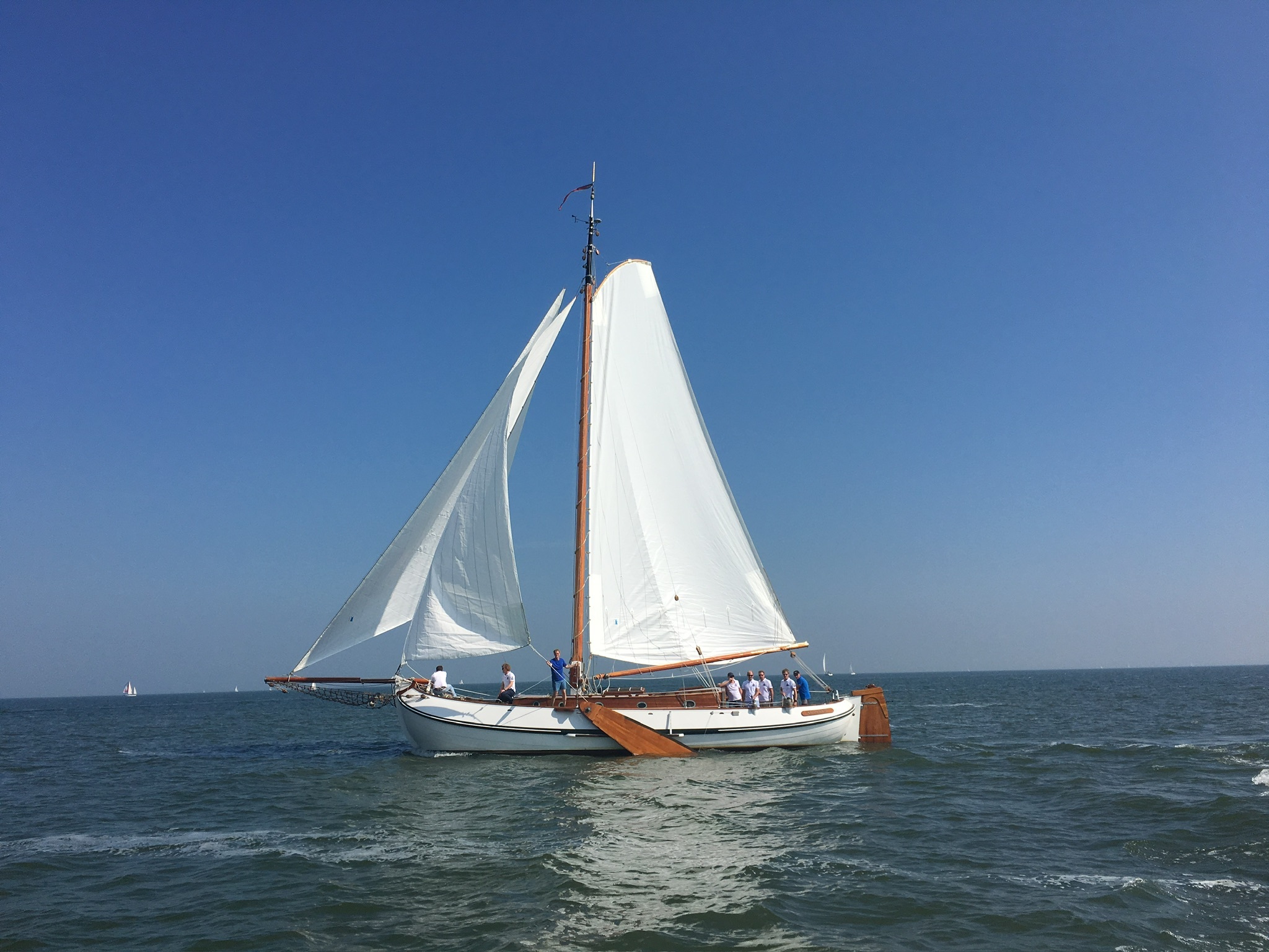 Lemsteraak Argonaut - Blom Roefaak — foto 4 van 15