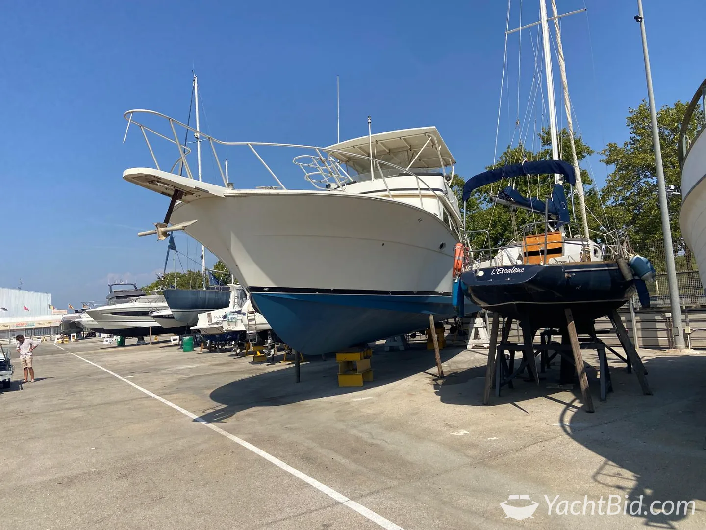 Viking Yachts 50 Convertible — foto 9 van 12
