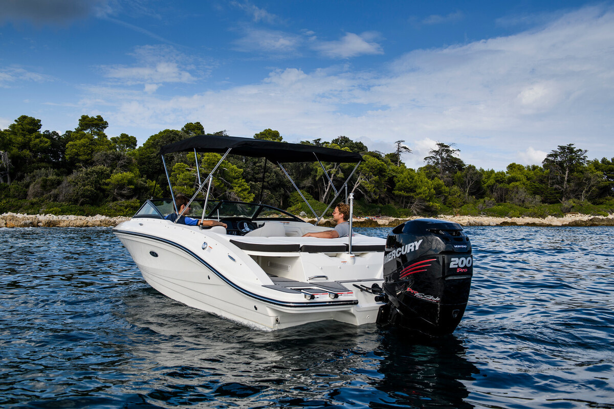 Sea Ray SPX 210 Outboard — foto 8 van 19