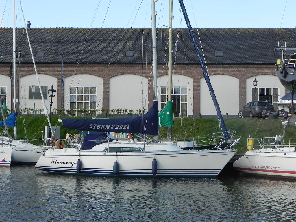 ff56d005 7a60 4823 a829 ff6d828542d1 500