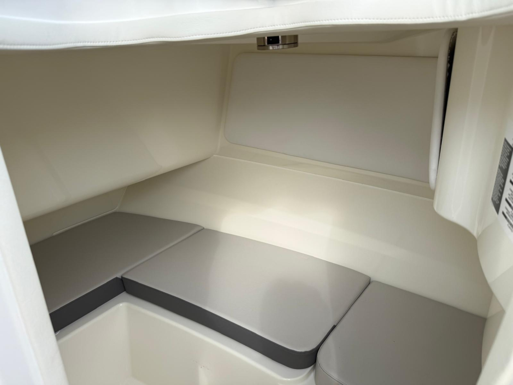 Sea Ray SDX 230 — foto 14 van 46