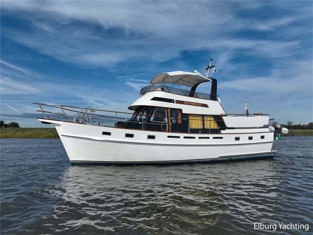 Tayana Trawler  - Pieter Beeldsnijder — foto 83 van 91